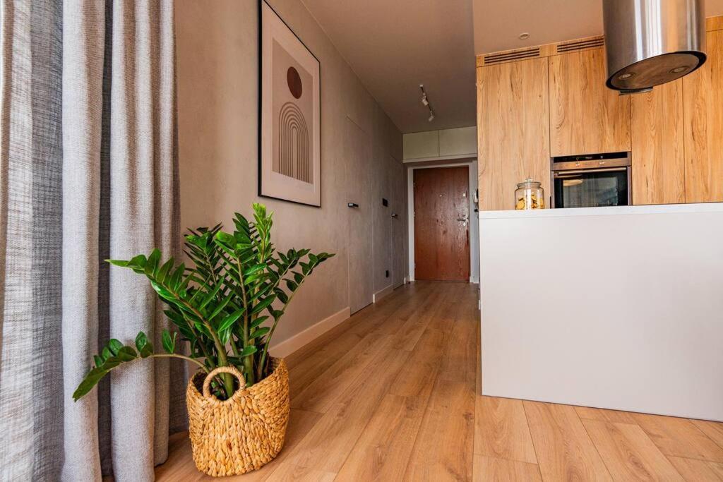 Apartament Na Grabiszynskiej Breslau Exterior foto